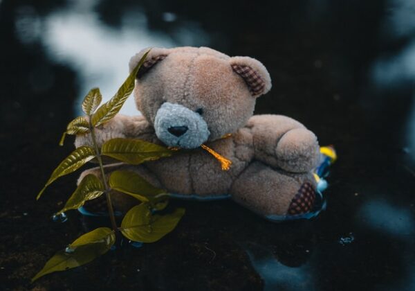 cremation services in Long Beach, NY,