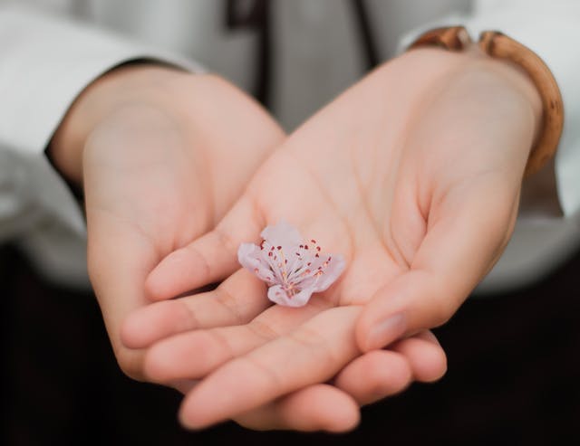 cremation services in Nassau County, NY