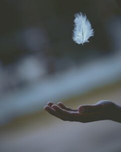 cremation services in Nassau County NY 7 240x300 cremation services in Nassau County NY 7 240x300