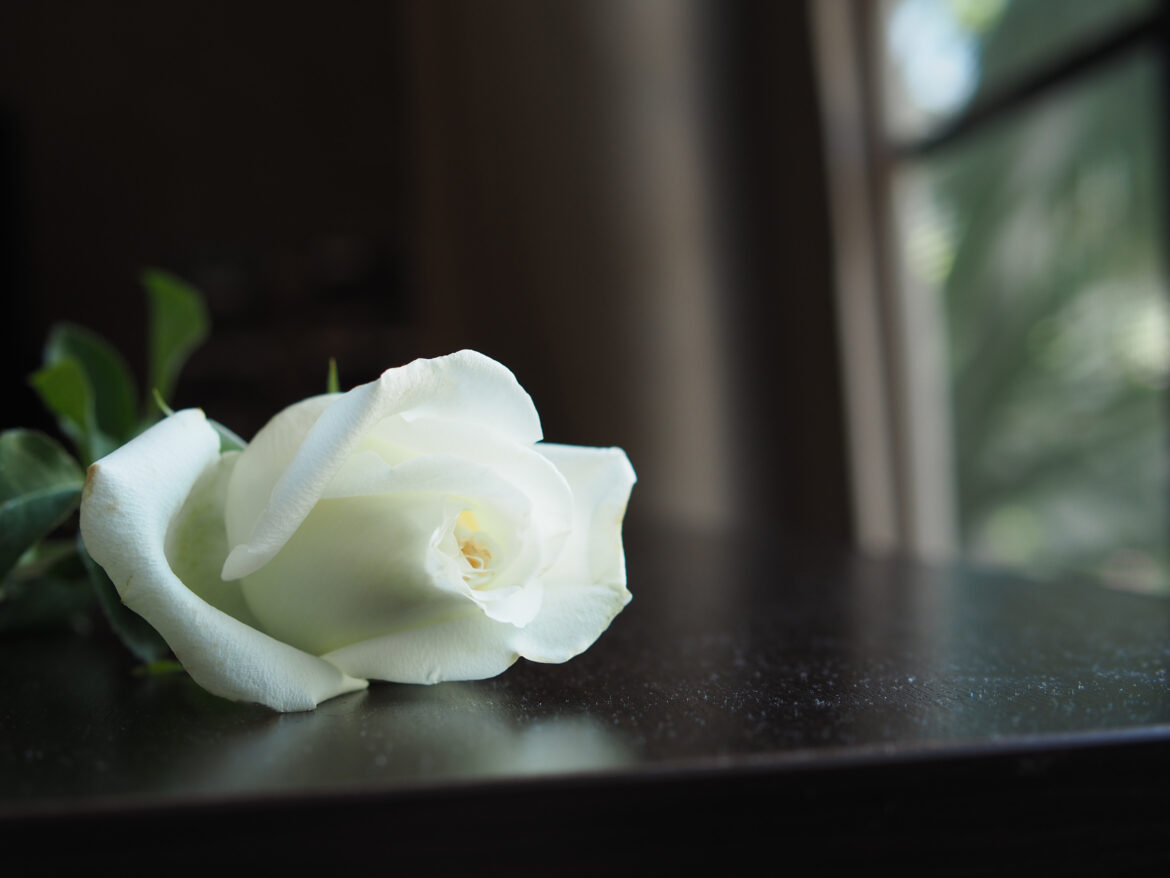 cremation services long beach ny