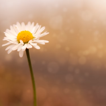 cremation services Long Beach, NY