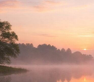Serene lakeside at dawn with gentle mist over still water, soft pastel sky reflections, and a lone tree silhouette, representing peace and simplicity in cremation services Nassau County, NY