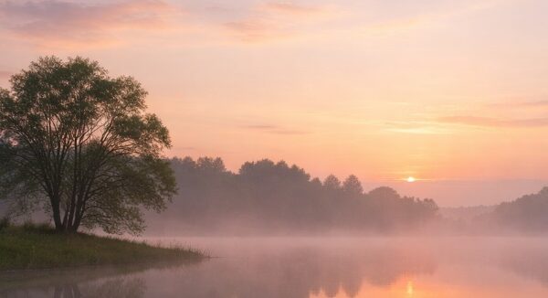 Serene lakeside at dawn with gentle mist over still water, soft pastel sky reflections, and a lone tree silhouette, representing peace and simplicity in cremation services Nassau County, NY